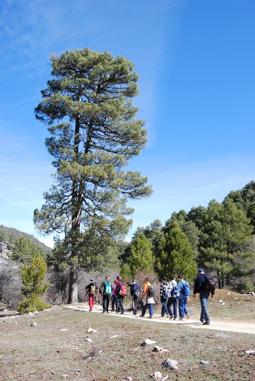 Albergue Inturjoven Cazorla Kültér fotó